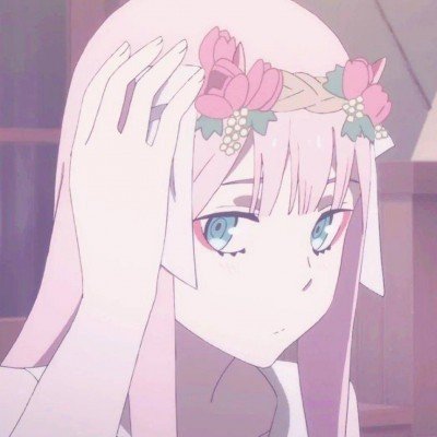 何超莲樱花照 窦骁视角